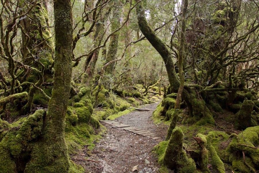 Cradle Mountain