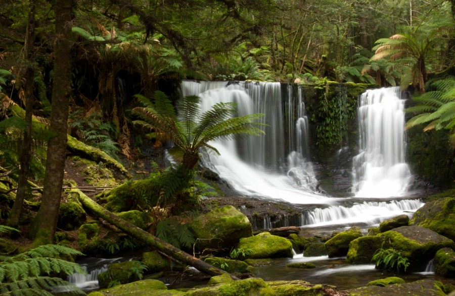 Tasmania