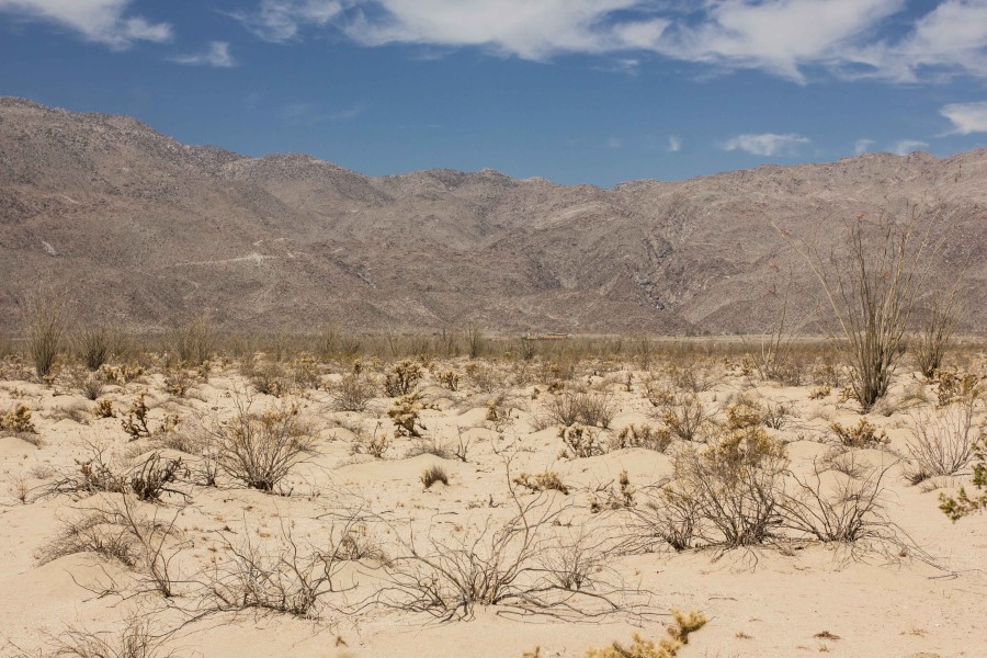 Anza Borrego Desert