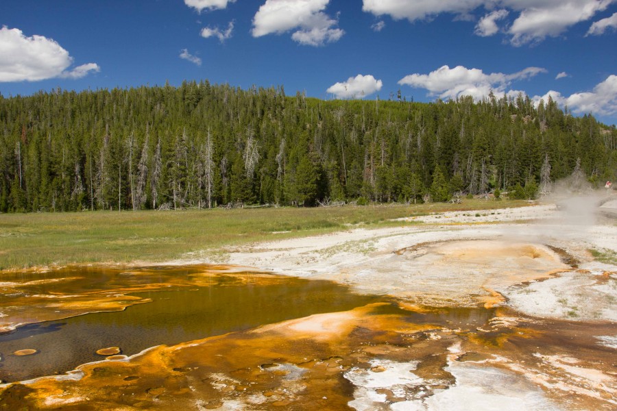 Yellowstone National Park